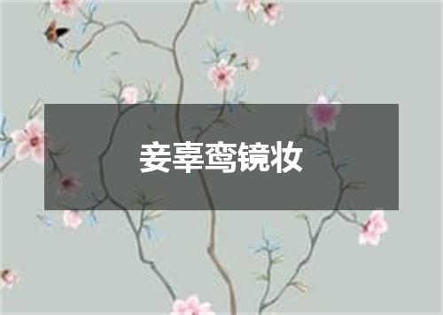 妾辜鸾镜妆