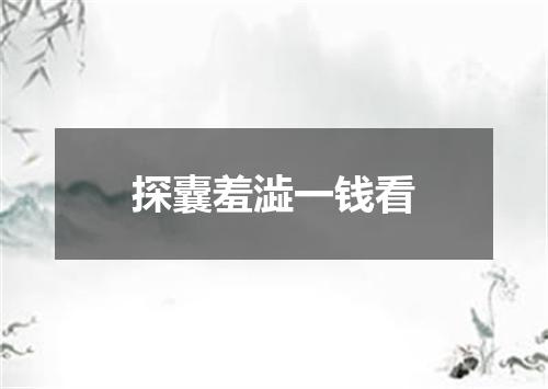 探囊羞澁一钱看