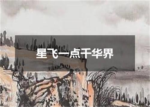 星飞一点千华界