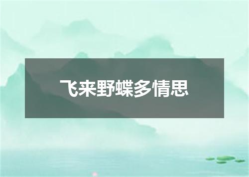 飞来野蝶多情思