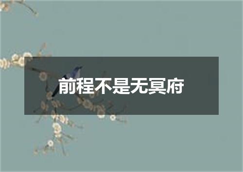 前程不是无冥府