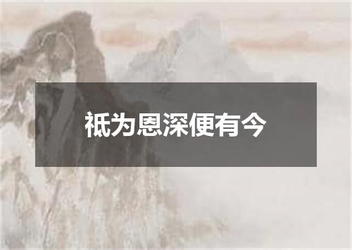 祗为恩深便有今