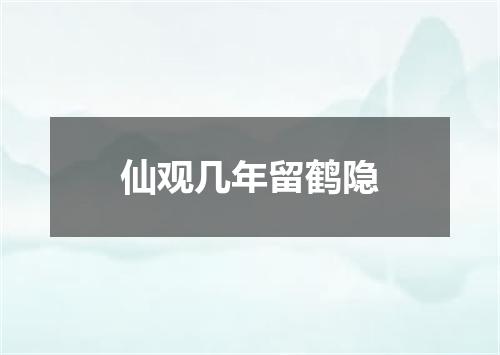 仙观几年留鹤隐