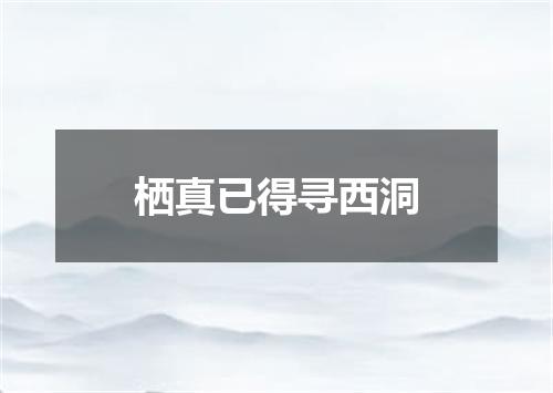 栖真已得寻西洞