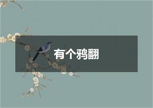 有个鸦翻