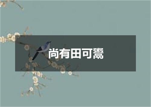 尚有田可鬻