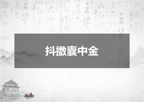 抖擞囊中金