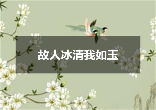 故人冰清我如玉