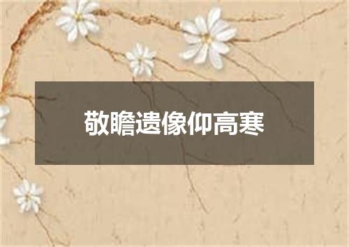 敬瞻遗像仰高寒