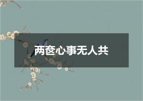 两奁心事无人共