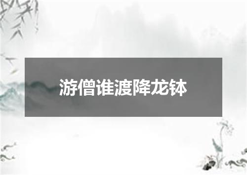 游僧谁渡降龙钵