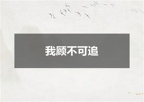 我顾不可追