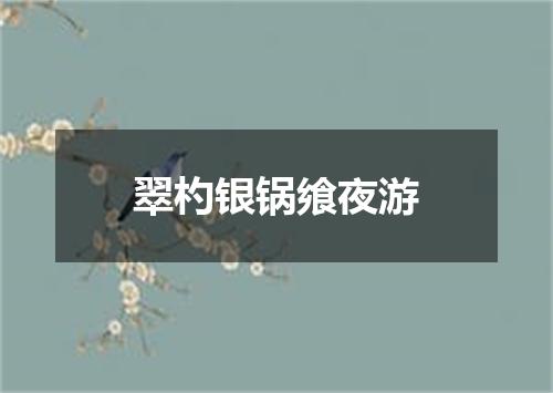 翠杓银锅飨夜游