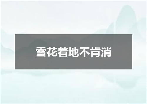 雪花着地不肯消