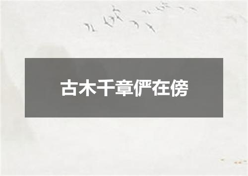 古木千章俨在傍