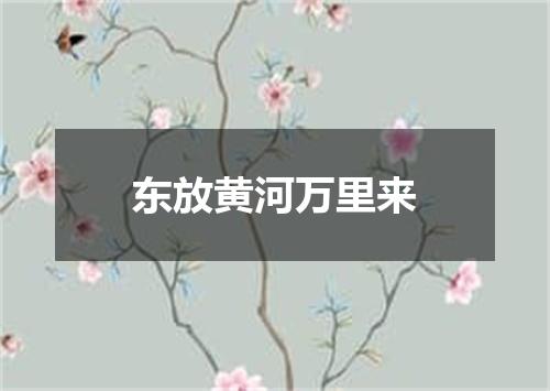 东放黄河万里来