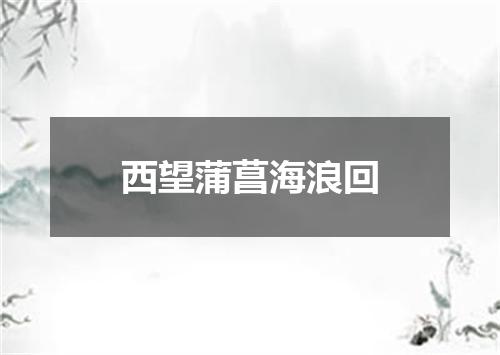 西望蒲菖海浪回