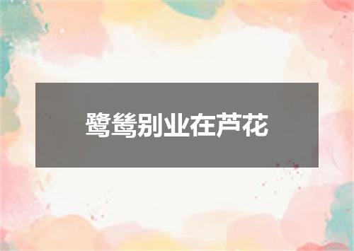 鹭鸶别业在芦花