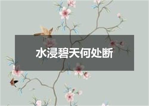 水浸碧天何处断