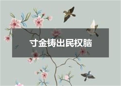 寸金铸出民权脑
