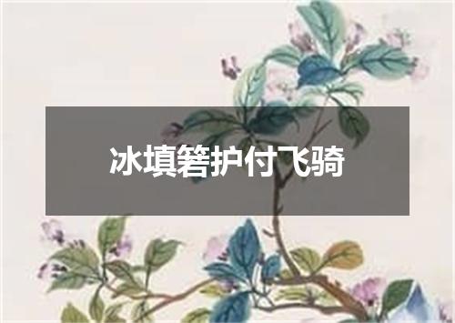 冰填箬护付飞骑