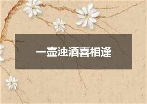 一壶浊酒喜相逢