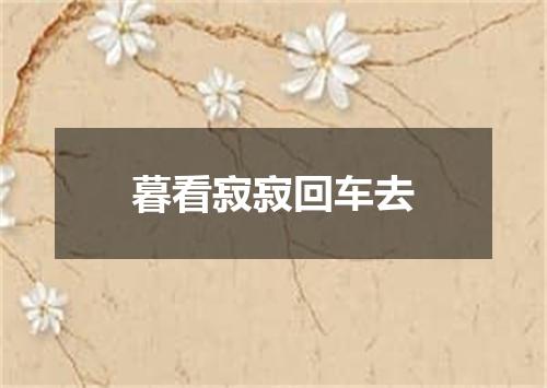 暮看寂寂回车去