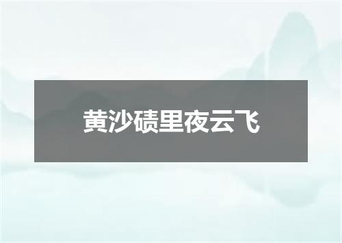 黄沙碛里夜云飞