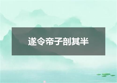 遂令帝子剖其半