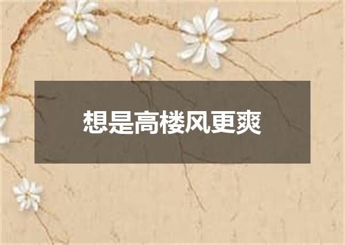 想是高楼风更爽