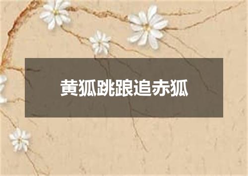 黄狐跳踉追赤狐