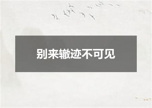 别来辙迹不可见