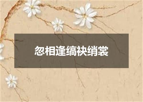 忽相逢缟袂绡裳