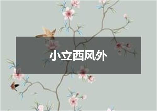 小立西风外