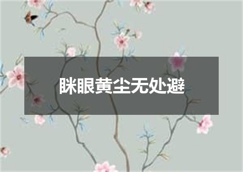 眯眼黄尘无处避