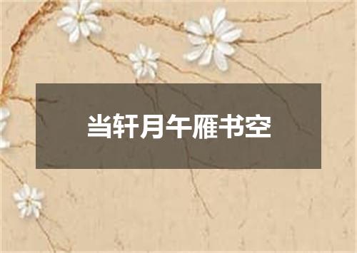 当轩月午雁书空