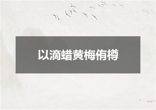 以滴蜡黄梅侑樽