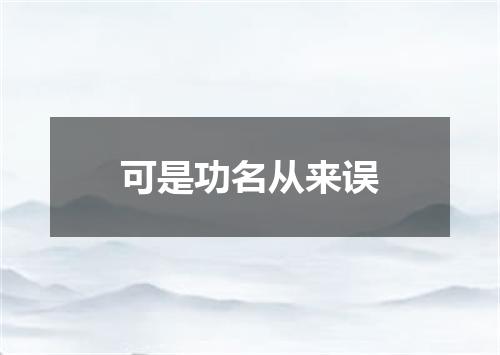 可是功名从来误