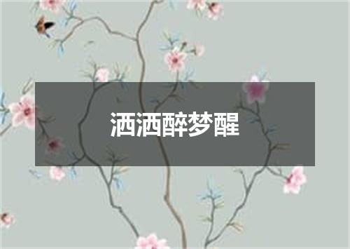 洒洒醉梦醒