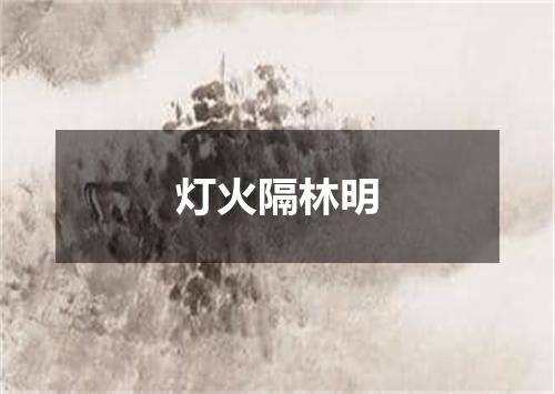 灯火隔林明