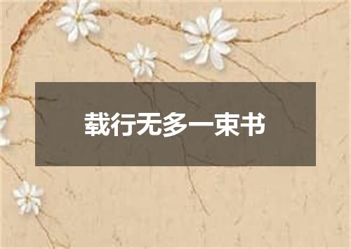 载行无多一束书