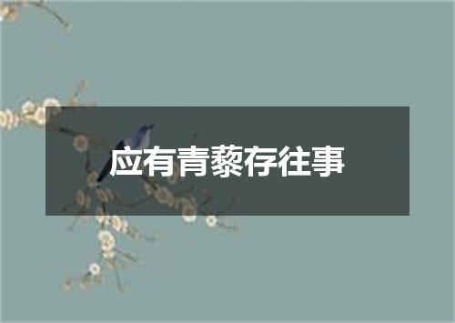 应有青藜存往事