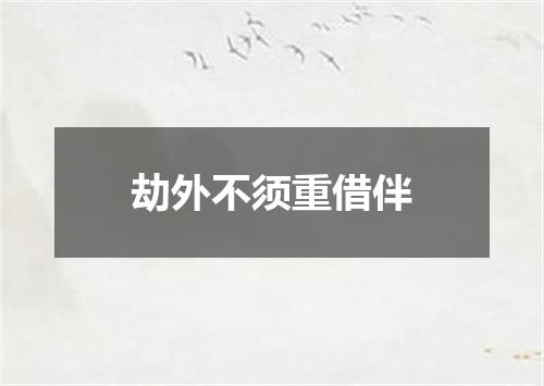 劫外不须重借伴