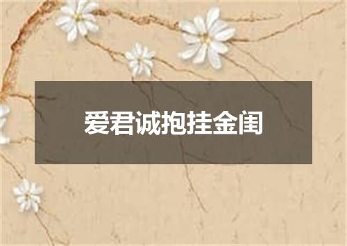 爱君诚抱挂金闺