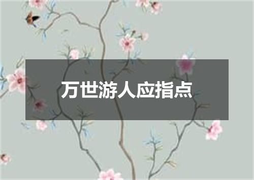 万世游人应指点
