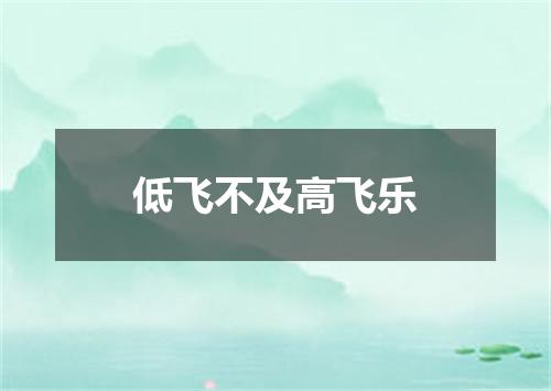 低飞不及高飞乐