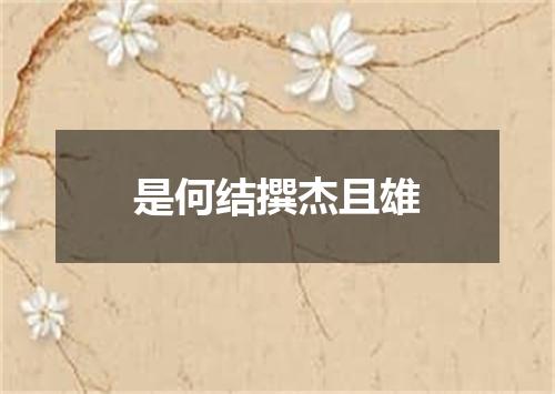 是何结撰杰且雄