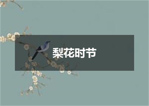 梨花时节