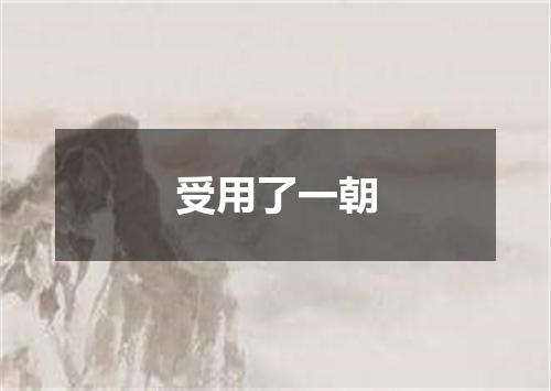 受用了一朝