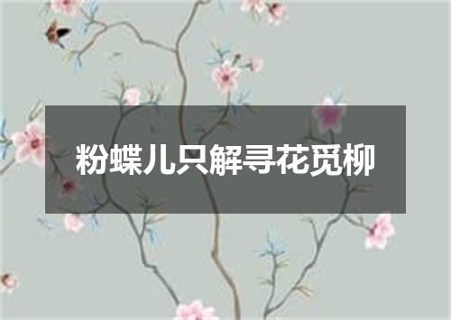 粉蝶儿只解寻花觅柳